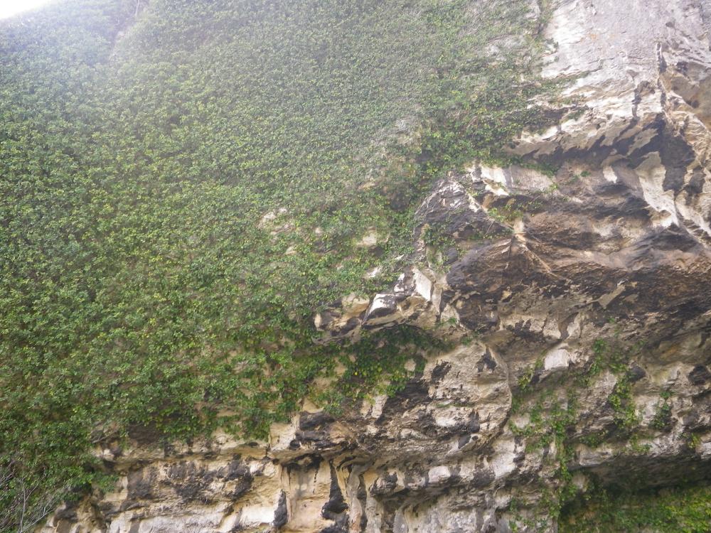 Vallon Mestrallet : parois du Vallon Mestrallet