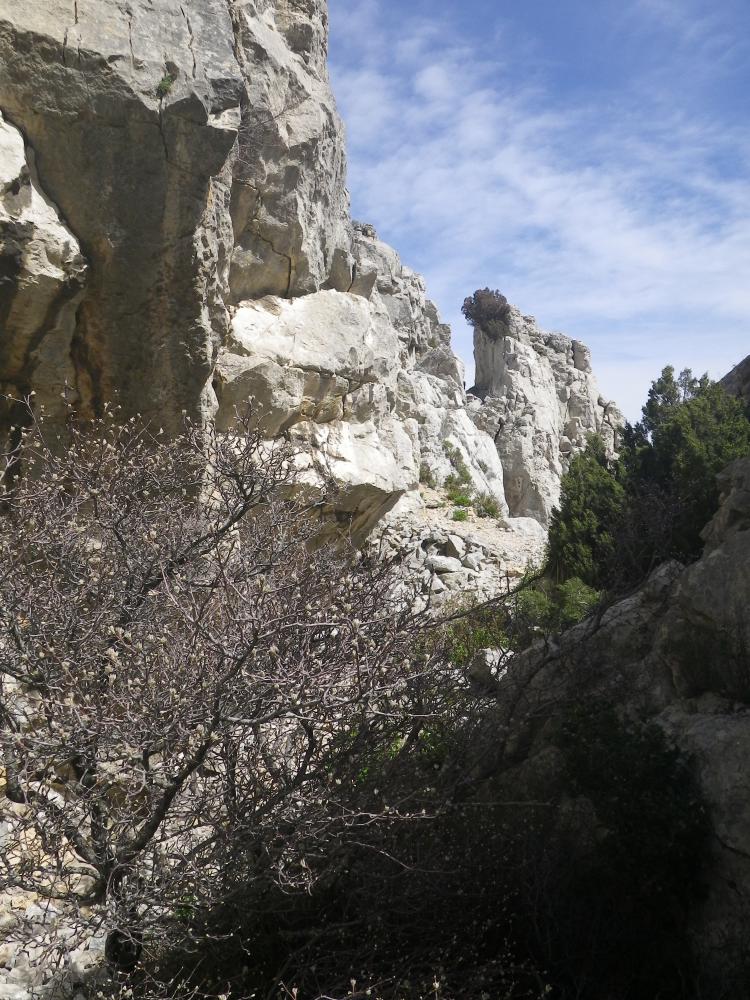 Vallon Mestrallet : le superbe sentier du fond du Vallon Mestrallet