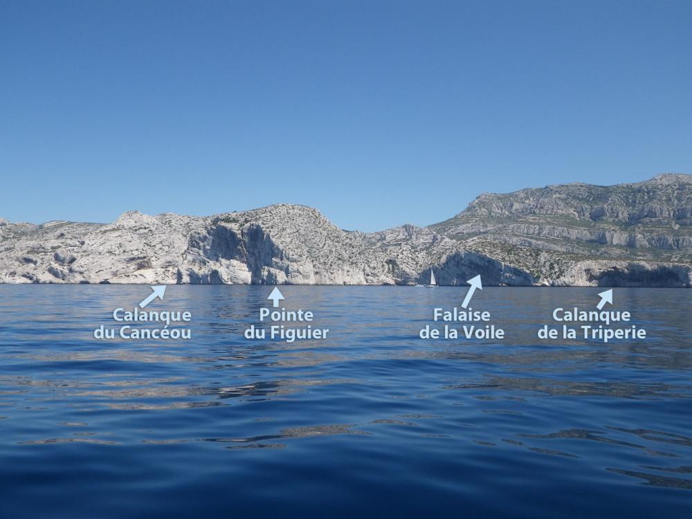 Calanque du Cancéou : la Calanque du Cancéou, la Pointe du Figuier, la Falaise de la Voile, la Calanque de la Triperie vues de mer