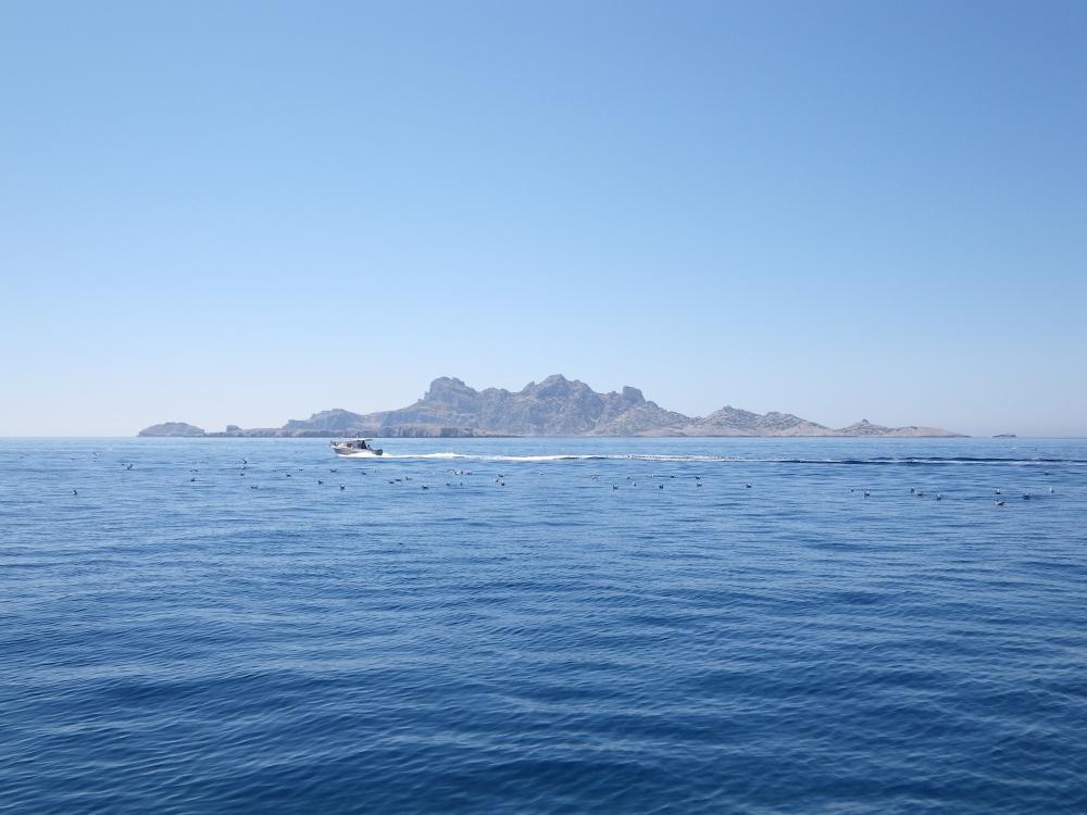 Île de Riou : l'Île de Riou, ses Congloués et Moyadons