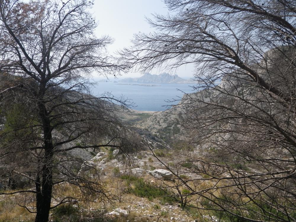 Vallon des Cailles : au fond, la Calanque de Marseilleveyre