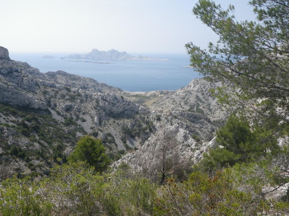 Calanque de Marseilleveyre : au fond, la Calanque de Marseilleveyre