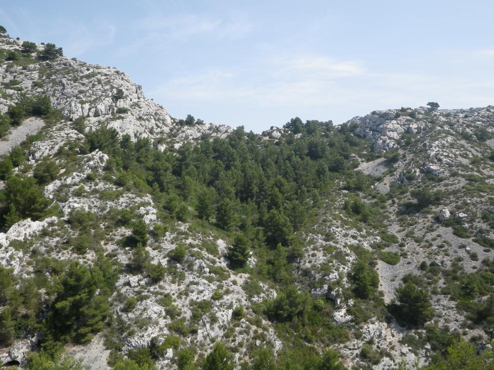 Col de la Selle : le Col de la Selle vu du Sud