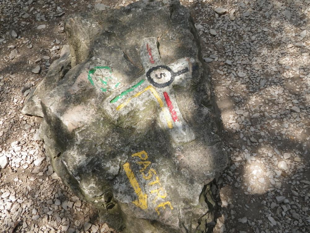 Bois de la Selle : un marquage d'intersection de pistes particulièrement travaillé, à retrouver au Bois de la Selle