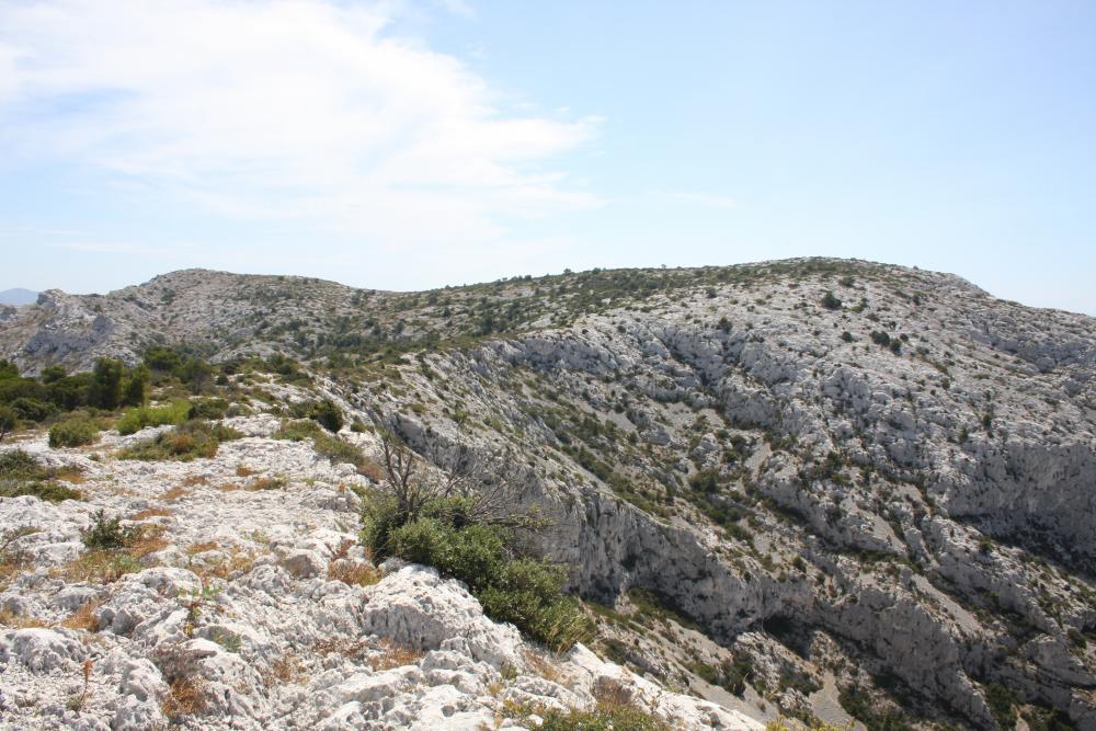 Vallon de l'Homme Mort : le Plateau de l'Homme Mort ou Plan de Coulon