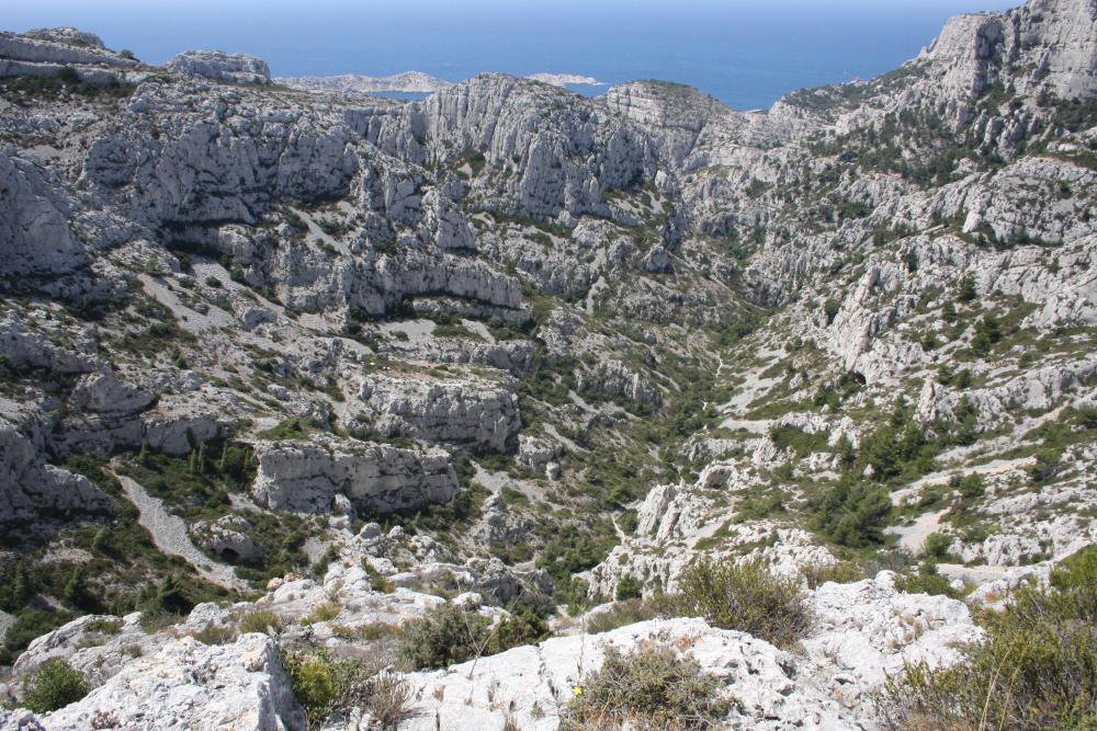 Malvallon Médian : le Malvallon Médian vu du Plateau de l'Homme Mort