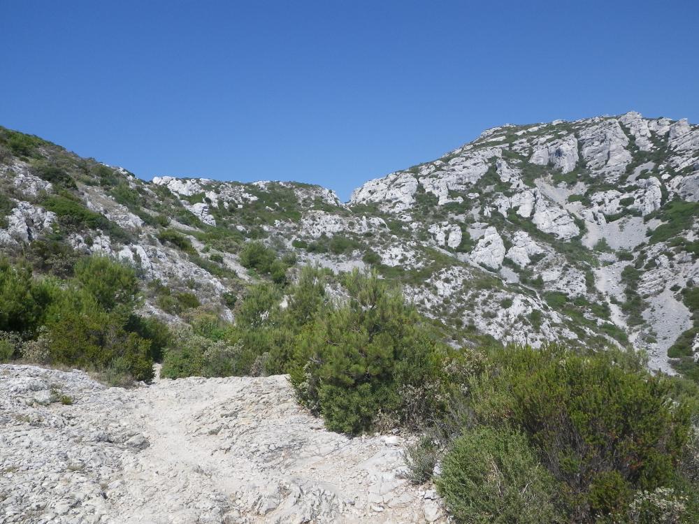 Col de Cortiou : au milieu de la ligne de crête, le Col de Cortiou