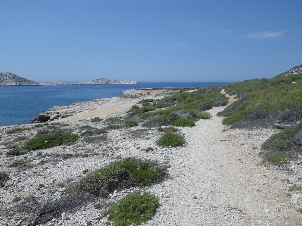 Batterie de l'Estéou de Bocque : arrivée à la Batterie de l'Estéou de Bocque