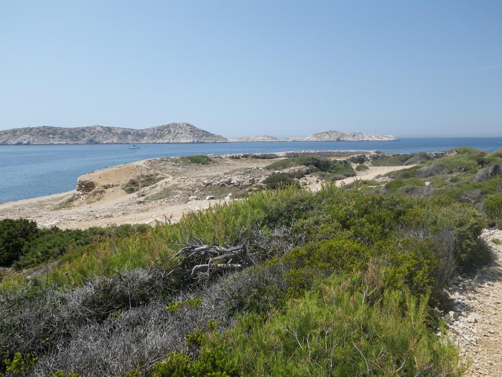 Batterie de l'Estéou de Bocque : la Batterie de l'Estéou de Bocque