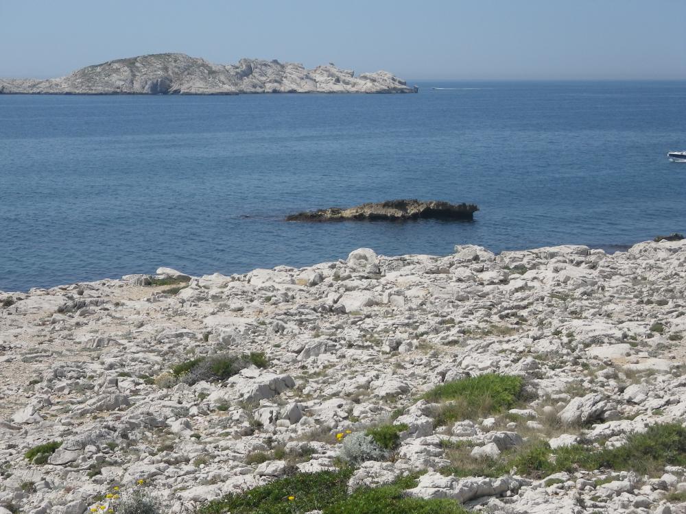 Batterie de l'Estéou de Bocque : l'Îlot de la Mounine ou "Estéou de Bocque" par temps calme