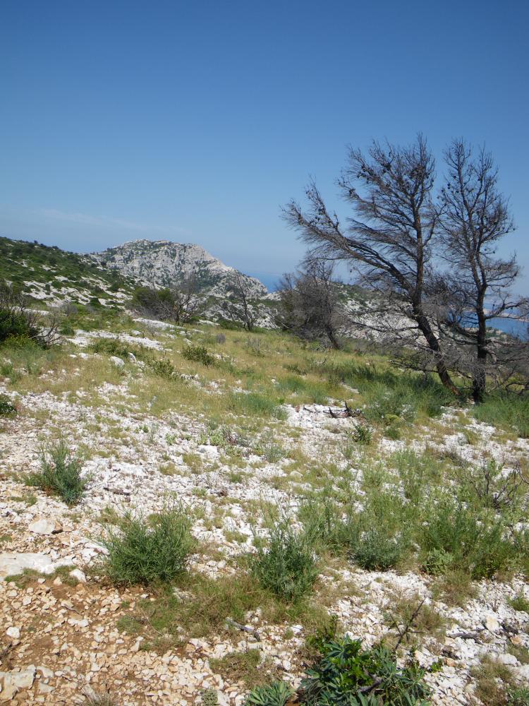 Plateau de l'Homme Mort ou Plan de Coulon : le Plateau de l'Homme Mort ou Plan de Coulon