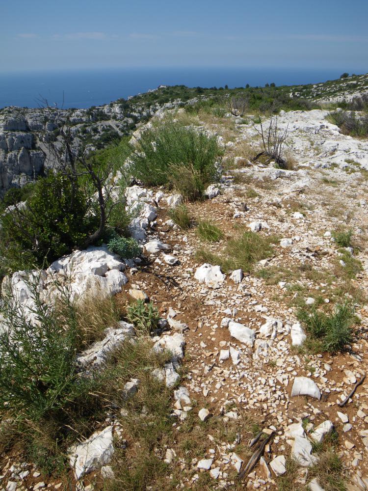 Plateau de l'Homme Mort ou Plan de Coulon : le Plateau de l'Homme Mort ou Plan de Coulon au bord des falaises du Cirque des Walkyries