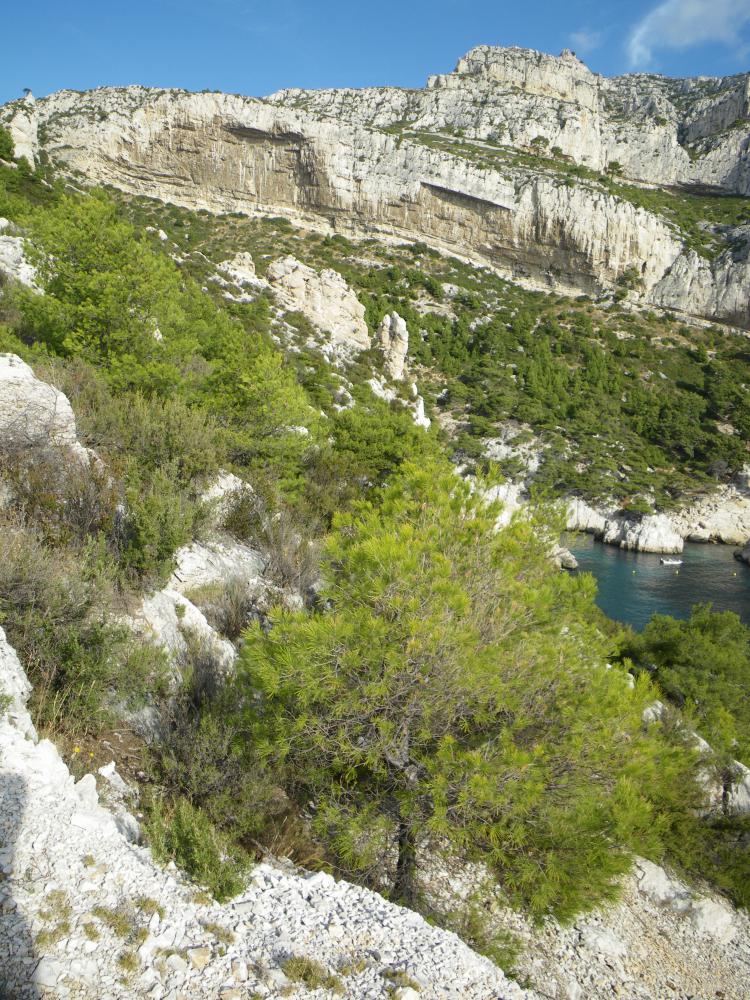 Falaise des Toits : la Falaise des Toits dominant la Calanque de Sugiton