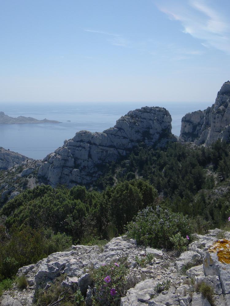 Pointe Callot : la Pointe Callot vue du Nord