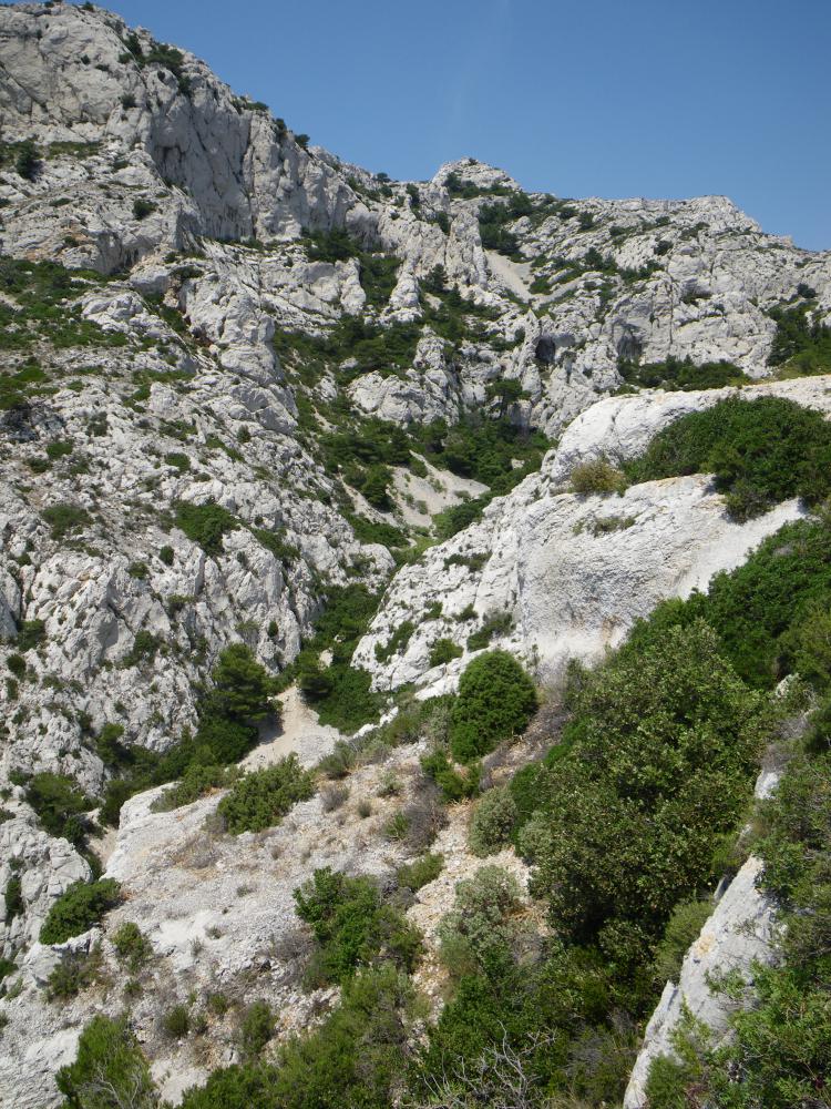 Vallon du Miougranier : bas du Vallon du Miougranier