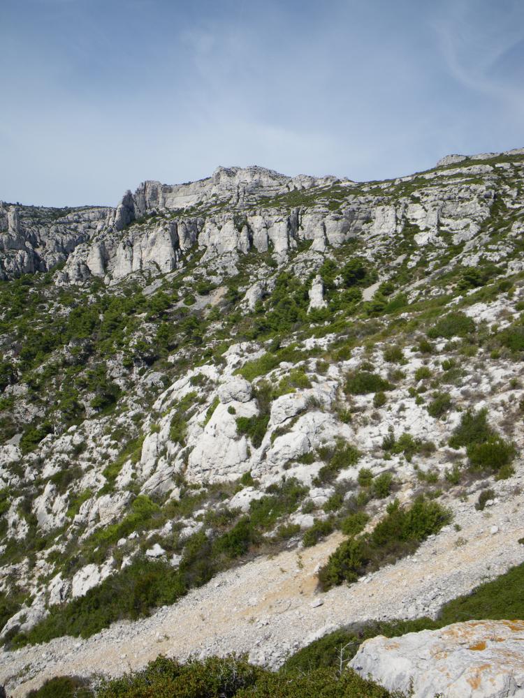 Cirque de Coulon : le Vallon du Petit Pignet, dominé au fond par le Cirque de Coulon