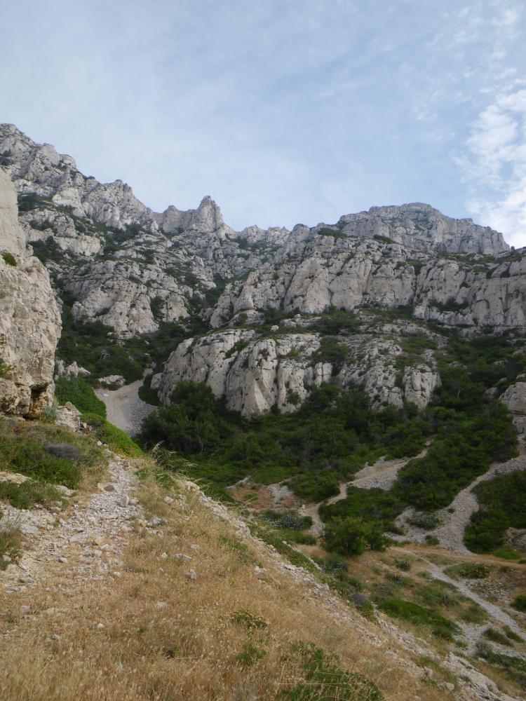 Vallon de Podestat : le Vallon de Podestat vu du bas