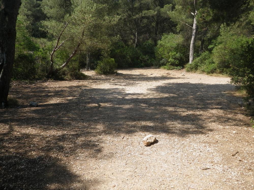 Bois de la Selle : le Bois de la Selle