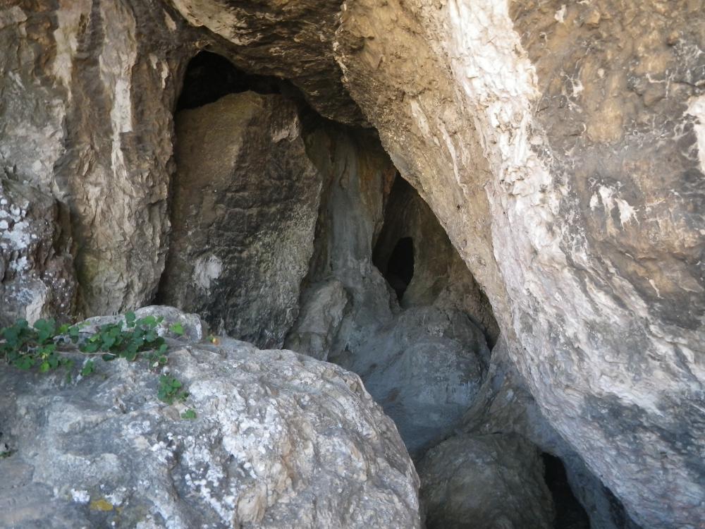 Grotte de l'Ours : la Grotte de l'Ours