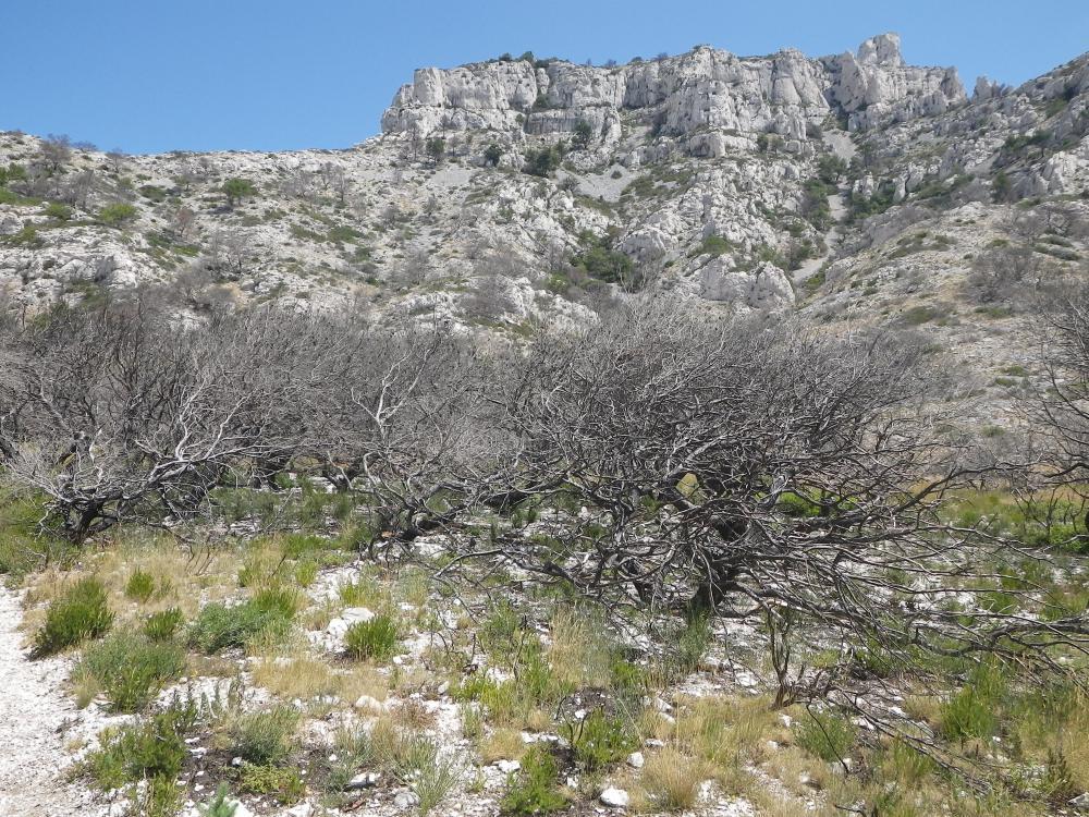 Arches des Cailles : le Vallon des Cailles et ses Arches en hauteur