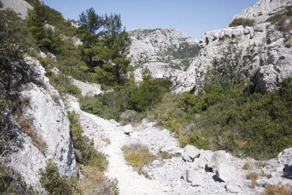 Malvallon Sud : le Malvallon Sud