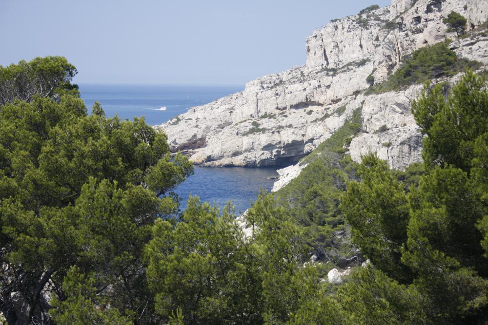 Calanque de l'Escu : la Calanque de l'Escu vue à proximité de l'Anse de la Mélette