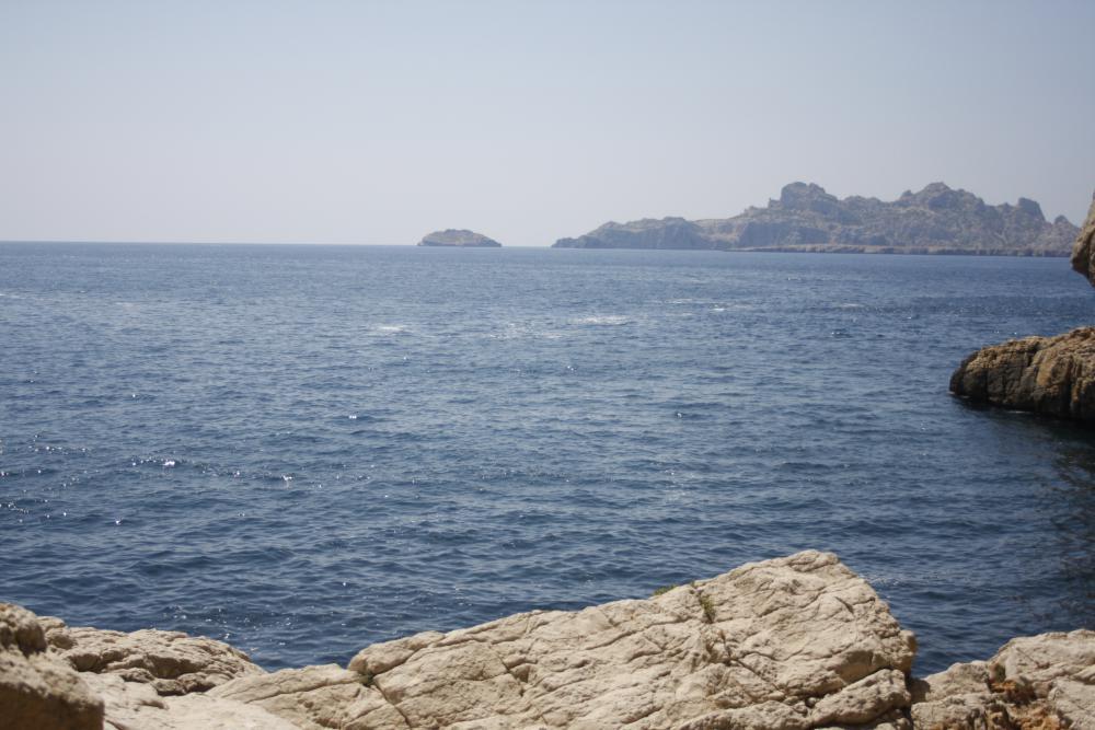 Calanque de l'Escu : ici même encore, dans la Calanque de l'Escu, on voit la mousse des effluents de Cortiou !